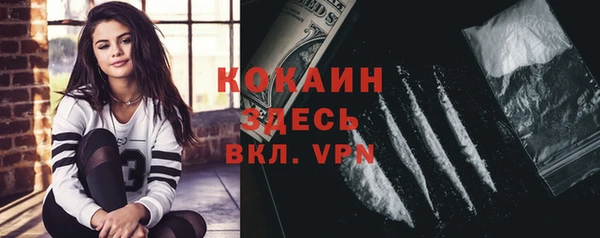 индика Богородицк