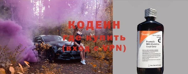 индика Богородицк