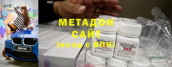 индика Богородицк