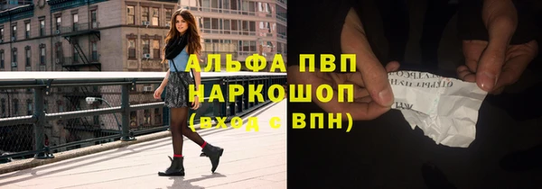 индика Богородицк