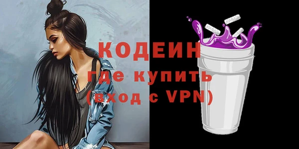 индика Богородицк
