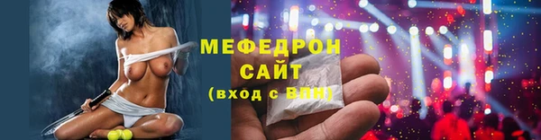 индика Богородицк