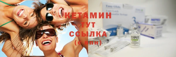 индика Богородицк