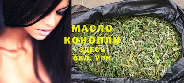 индика Богородицк