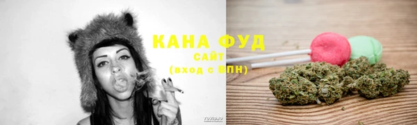 индика Богородицк