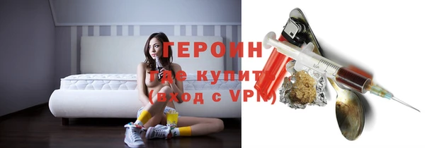 индика Богородицк
