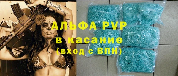 индика Богородицк