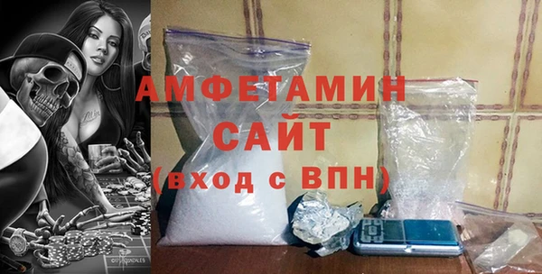 индика Богородицк