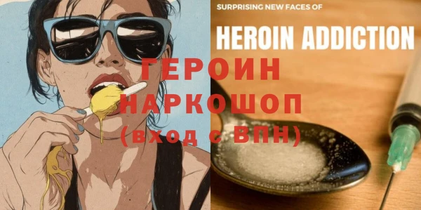 индика Богородицк