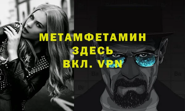 индика Богородицк