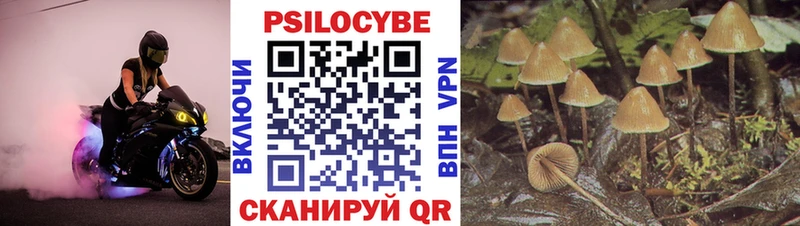 ссылка на мегу рабочий сайт  Егорьевск  Галлюциногенные грибы мицелий 