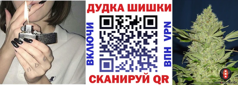закладки  Егорьевск  OMG как зайти  сайты даркнета наркотические препараты  Конопля индика 